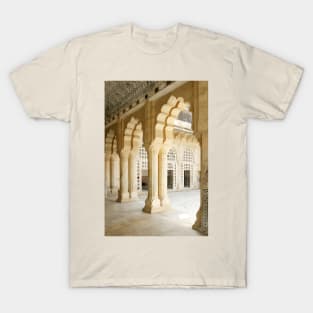 Amber Palace in India T-Shirt